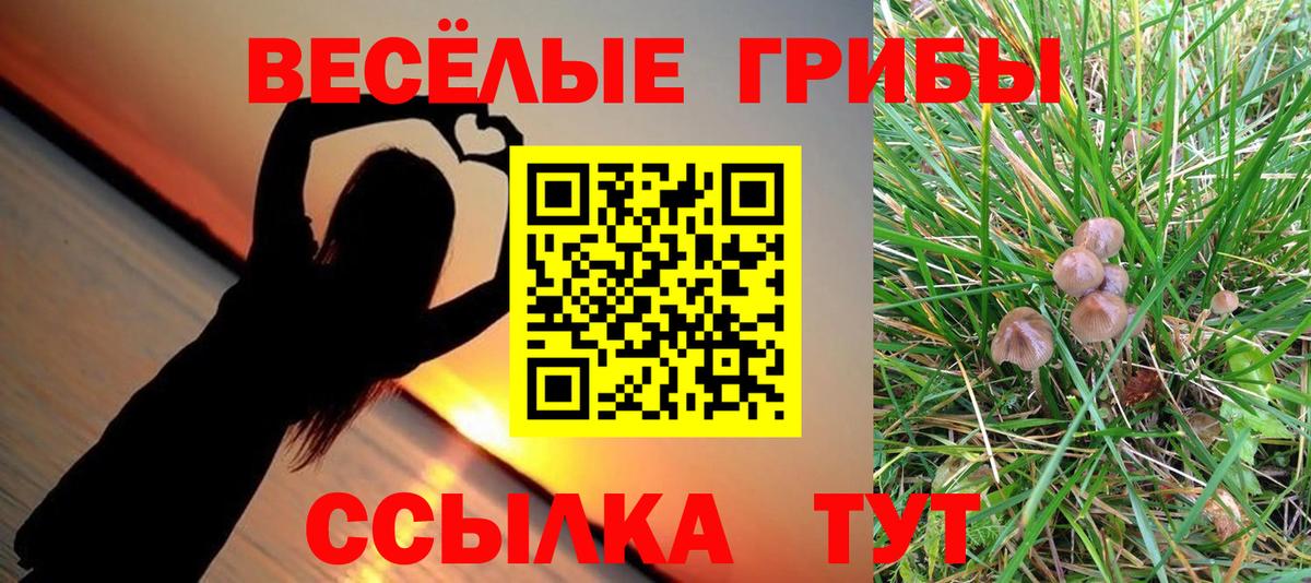Сыктывкар  Псилоцибиновые грибы Psilocybine cubensis  Галлюциногенные грибы ЛСД  Вход с VPN 